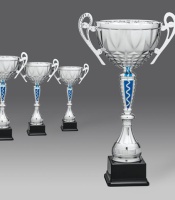 puchary, puchar 2336/1